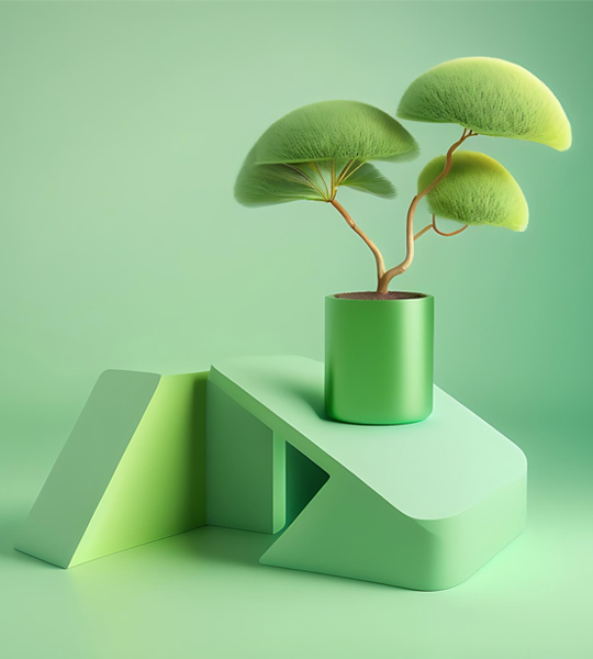 showcase-image5